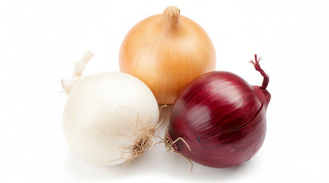 Les incontournables légumes commençant par o