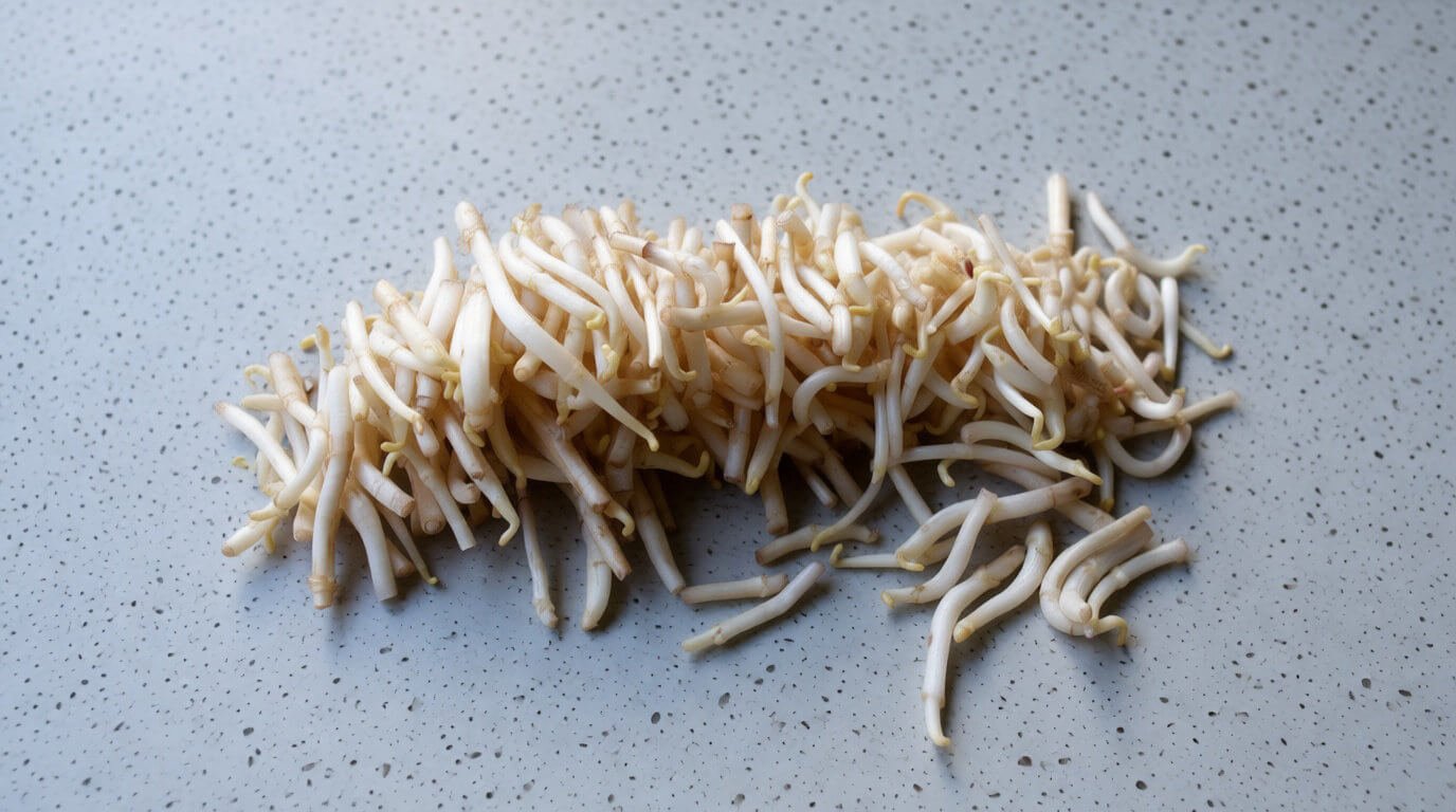 Le houblon et l'hysope : des saveurs sauvages 🌿