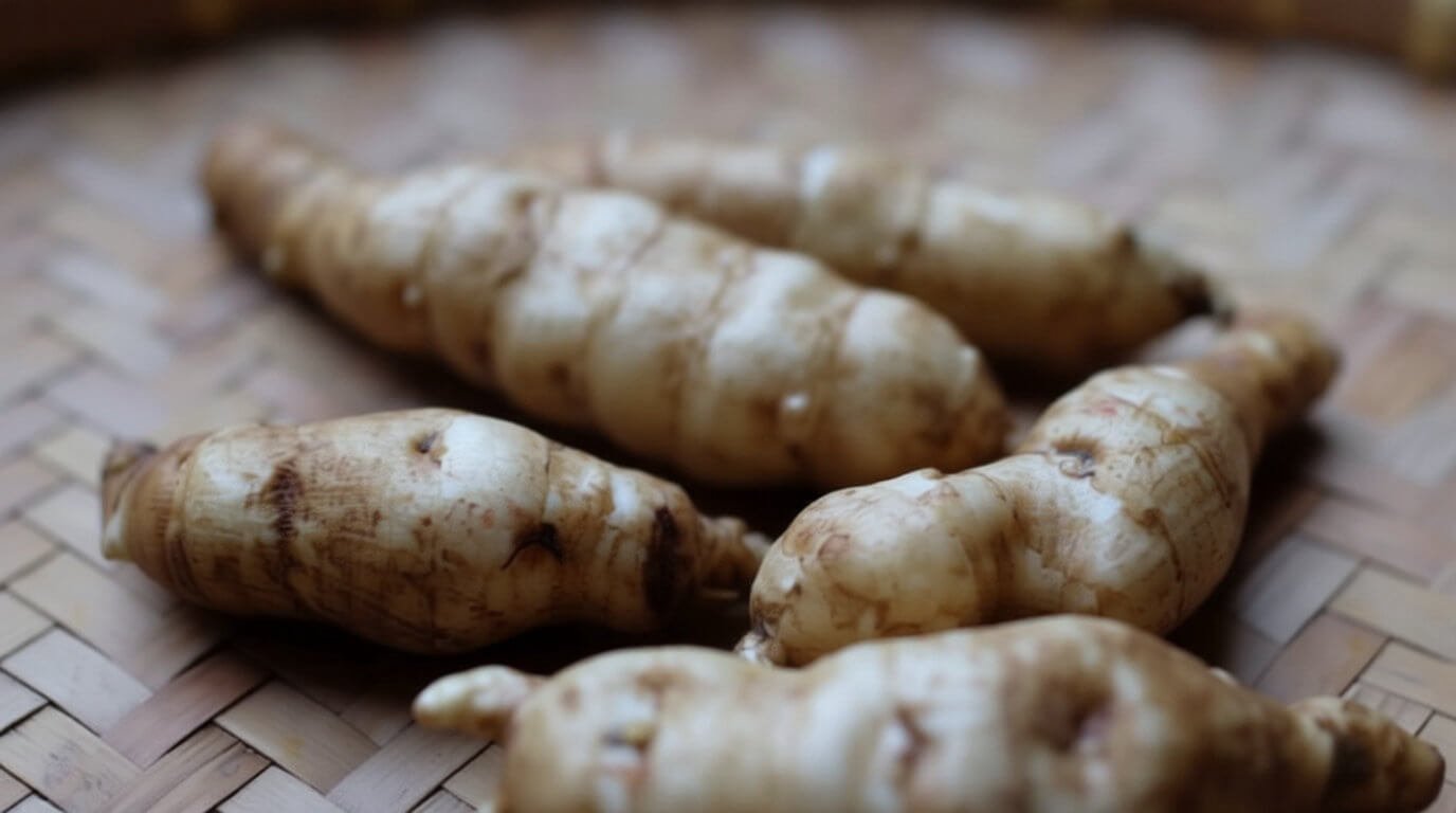 Astuces culinaires et variétés oubliées