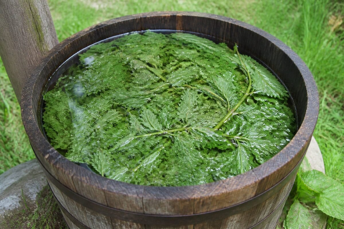 Transformer la biomasse sauvage en ressource fertile