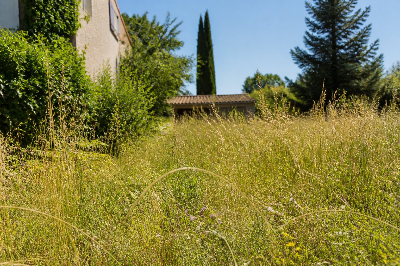 Adopter les bons réflexes d'entretien en période de canicule