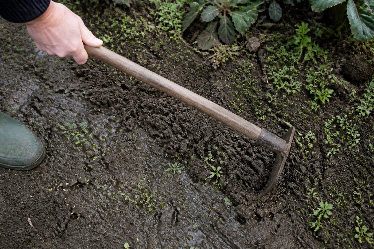 🌱 Restauration du sol et gestion de l'eau post-tempête