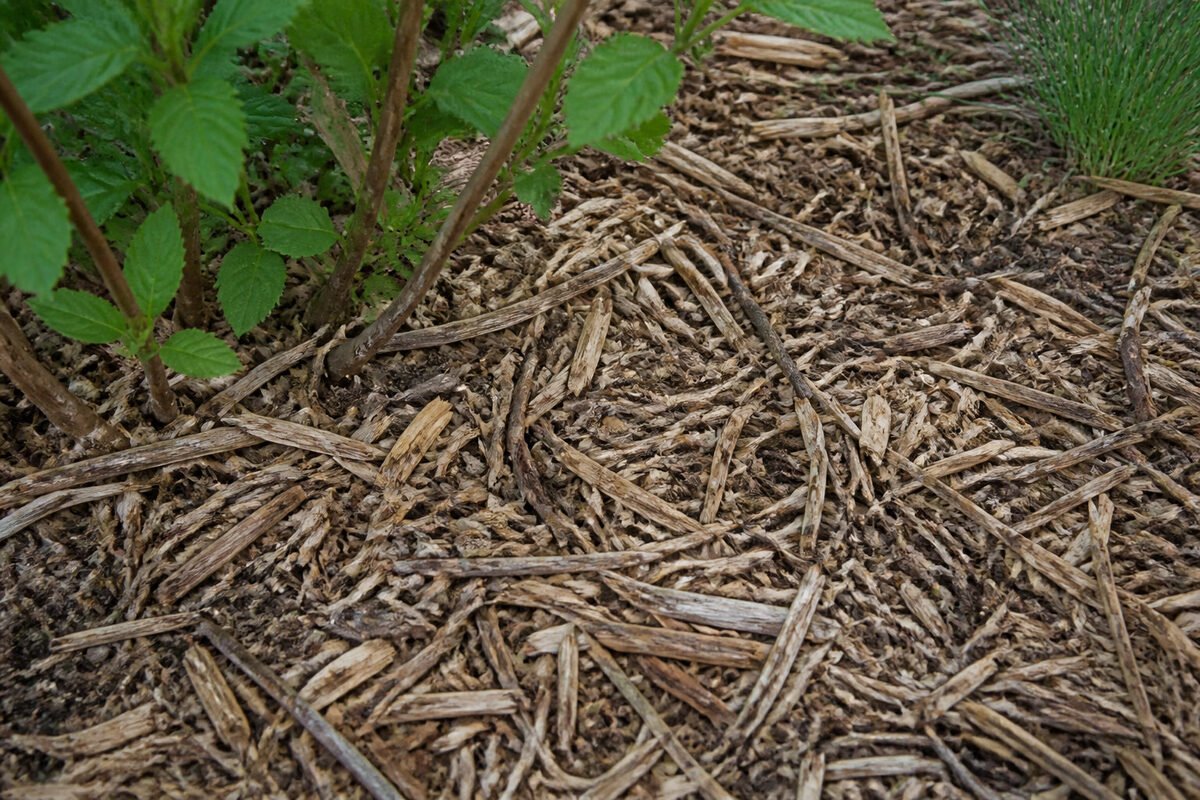 Comment nourrir efficacement votre terre au fil des saisons ? 🍂