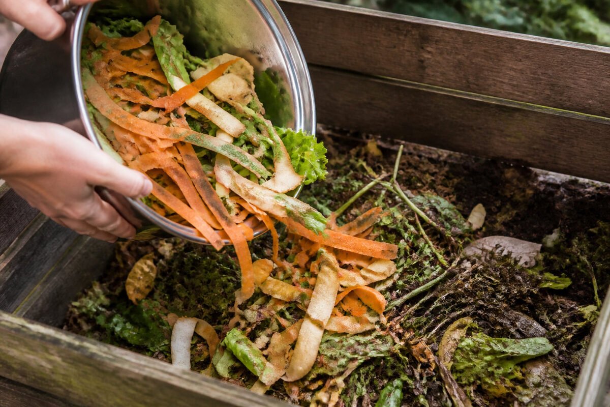Valoriser les restes alimentaires grâce à la permaculture ♻️
