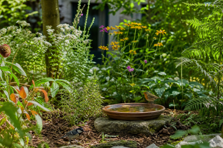 Photo réaliste illustrant eau de cuisson légumes jardin dans l’univers Saveur Sauvage — anti-gaspillage jardin