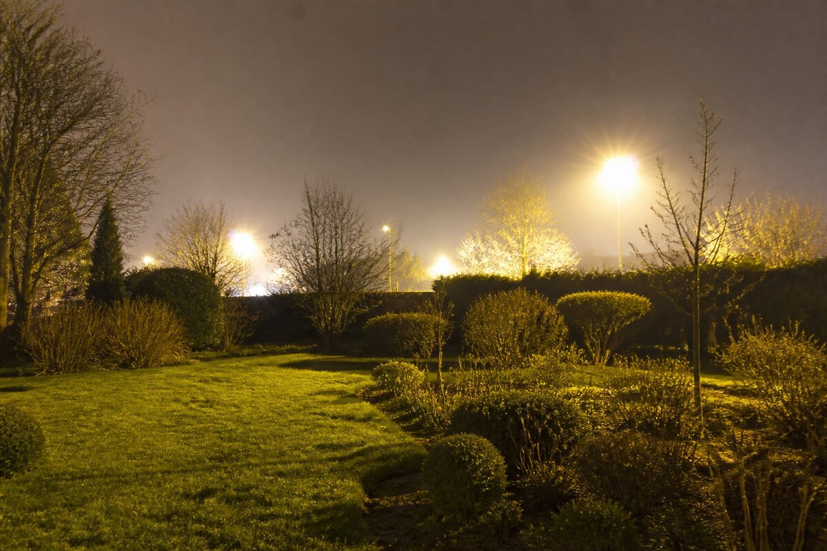 💡 Les menaces réelles de la pollution lumineuse sur vos jardins