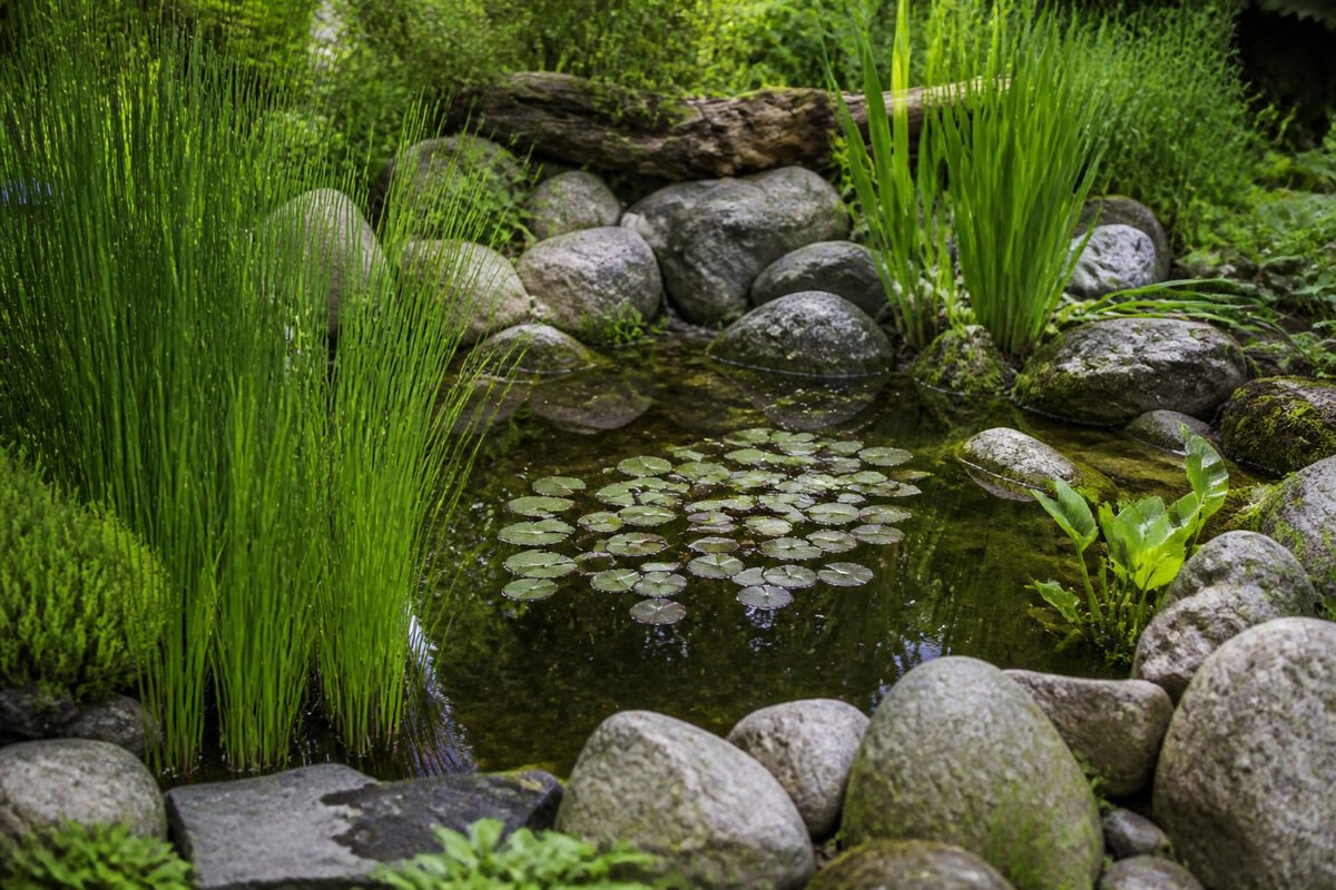 🏗️ 3 aménagements pour bâtir un refuge de biodiversité