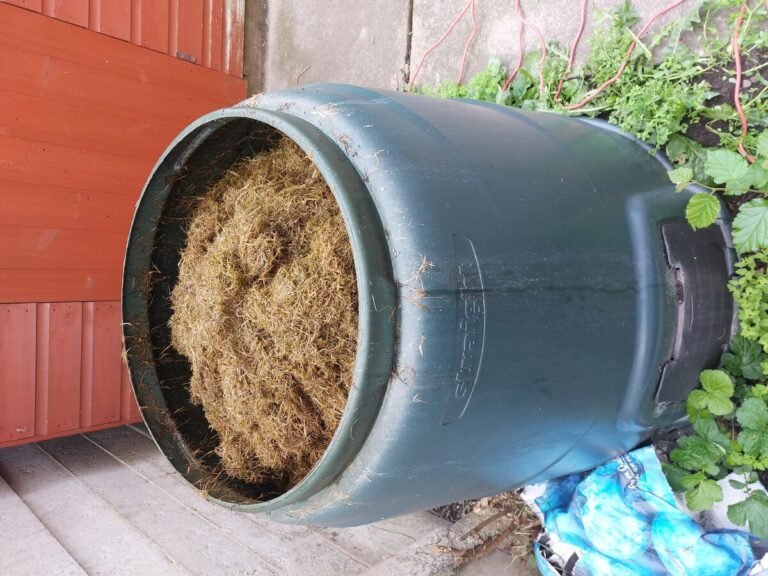 Composteur de jardin à mi-ombre avec matières sèches et fraîches pour relancer un compost trop sec en été.