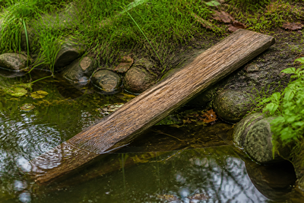 Planche rugueuse en pente douce reliant l'eau à la berge d'un bassin de jardin