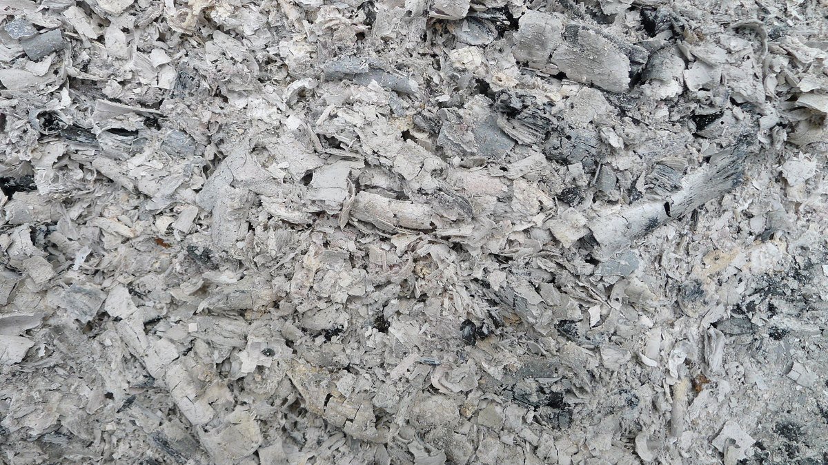 Fine dispersion de cendre de bois tamisée sur une petite zone de sol vivant