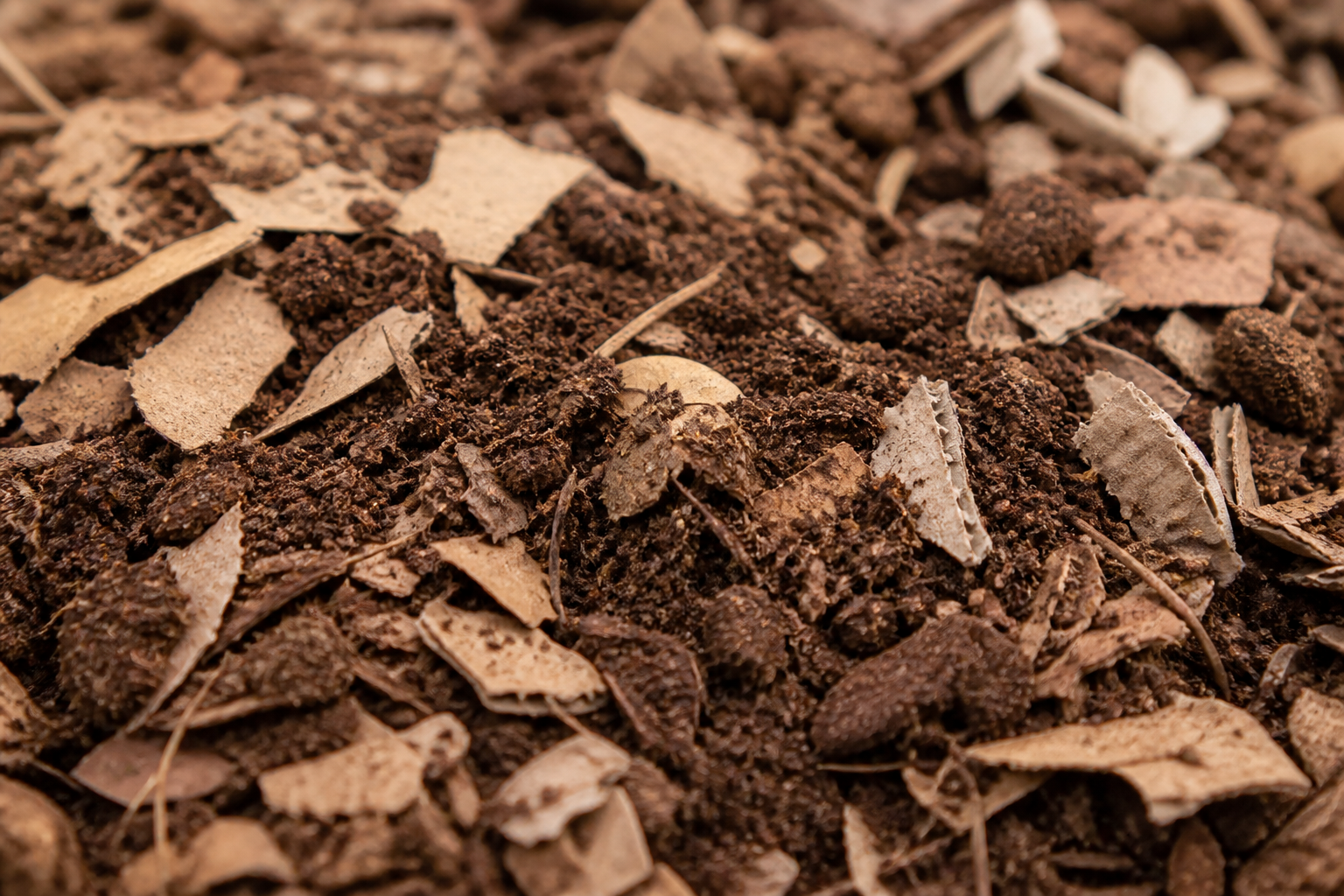 Marc de café mélangé à des feuilles sèches pour éviter le tassement du compost