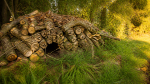 Tas de bûches de bois adossé à une haie champêtre en fin de journée, petite ouverture sombre au niveau du sol, dans un jardin naturel